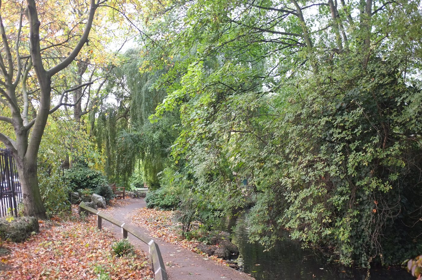 Étang du jardin de Canonbury