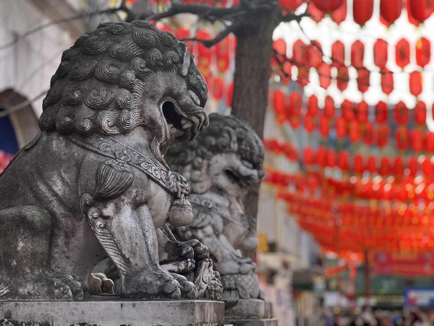 Lions et lanternes de Chinatown