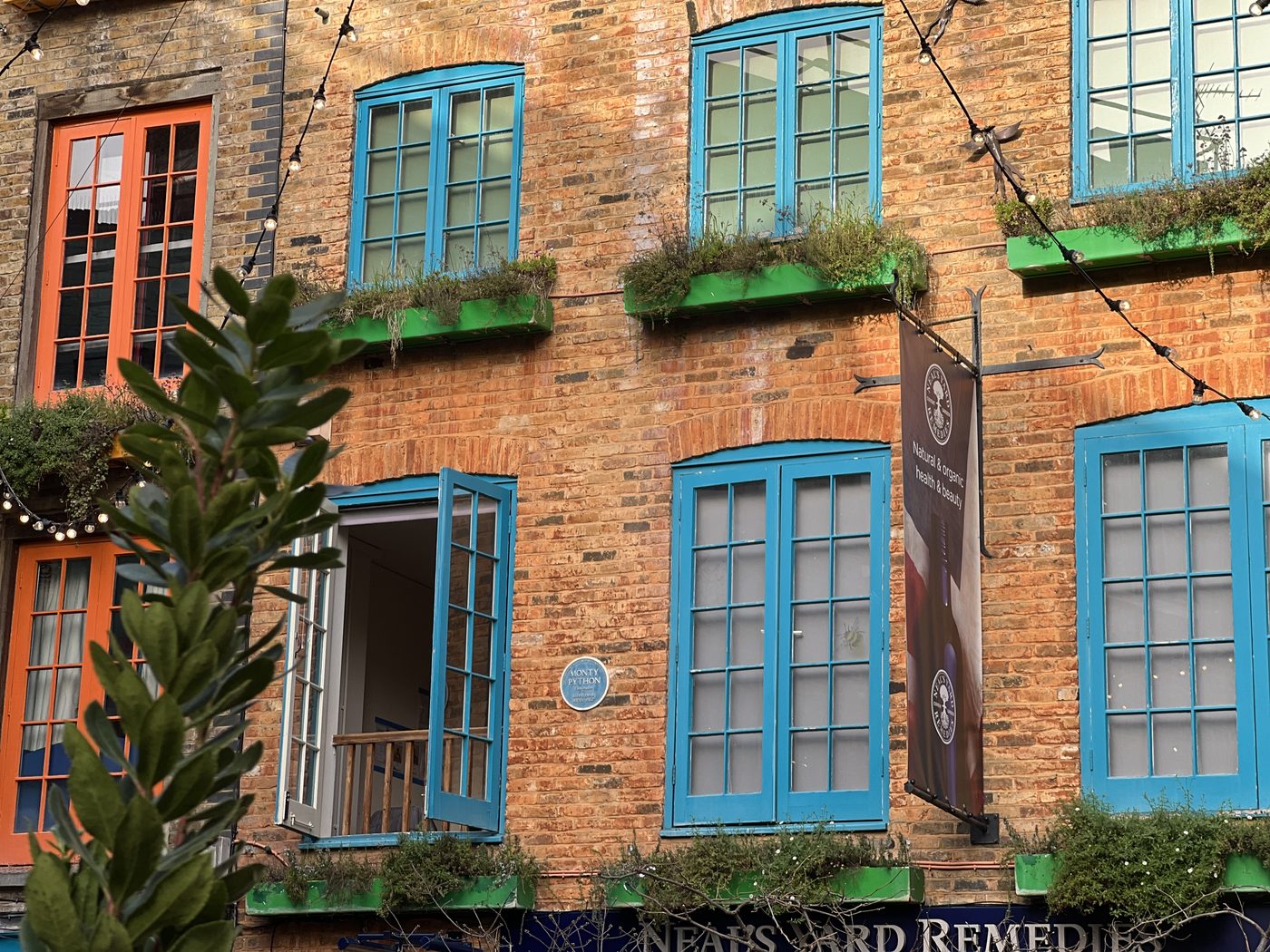 Neal’s Yard Remedies, couleurs vives