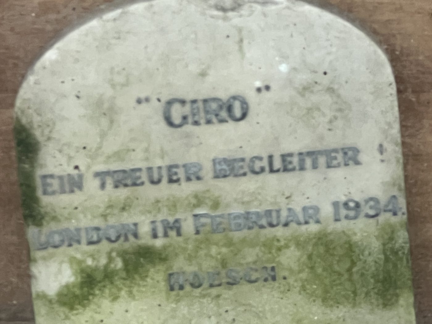 Tombe de Giro, chien du diplomate allemand, 1934